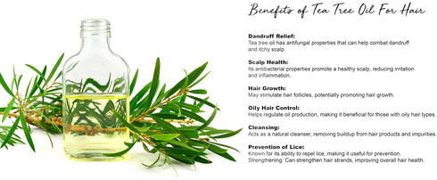 EDEN Braiding Gel – 4 Fl Oz