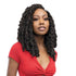 Janet Collection Nala Tress Butterfly Locs Crochet Braids