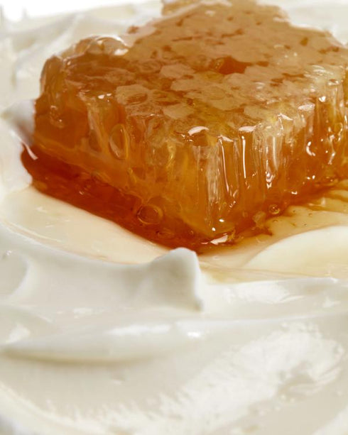 SHEA MOISTURE MANUKA HONEY&YOGURT SHAMPOO 13oz