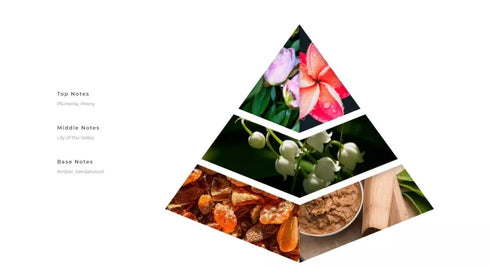 SHIYAAKA WOMEN EAU DE PARFUM ROSE GOLD 3.4OZ